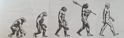 Inoltre nella parte interna del cranio si nota l'impronta dell'. Curiosita Ma L Uomo Di Neanderthal Mangiava Vegano Perle Di Benessere