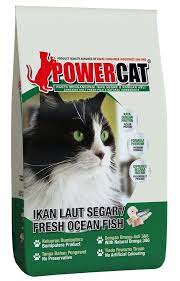 Kucing ada cukup banyak jenisnya seperti kucing persia yang mempunyai hidung pesek, kucing angora yang super imut. 10 Makanan Kucing Terbaik Yang Sedap Berkhasiat Di Malaysia 2021