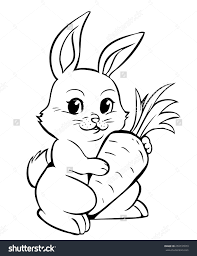 Check spelling or type a new query. Bunny Rabbit Cartoon Drawing Novocom Top