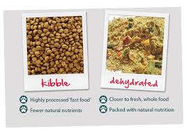 Chewy.com has been visited by 100k+ users in the past month Why Choose Dehydrated Raw Dog And Cat Food Over Kibble Dog Food Recipes Natural Dog Food Healthy Pet Food