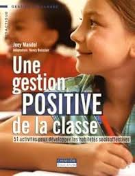 GESTION POSITIVE DE LA CLASSE: 51 activités pour développer les habiletés  socioaffectives : Mandel, Joey, Cummings, Joanne, Boisclair, Nancy,  Charbonneau, Jeanne: Amazon.de: Books