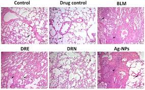 Image result for Dinebra retroflexa