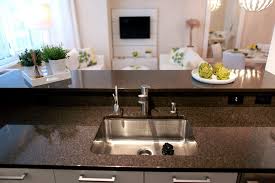 Maybe you would like to learn more about one of these? Garbage Disposals Are The New Kitchen Amenity The New York Times