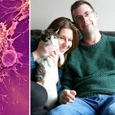 The untreated dog lived a significantly shorter time while the treated dog lived significantly. Docs Confirm Pet Cat Cancer Free After Unprecedented Treatment Prepped For Use On Humans Daily Star