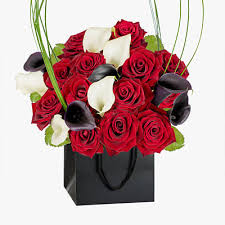 Maybe you would like to learn more about one of these? New Baby National Gallery Flowers