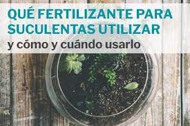 Informe 11 repretel 5 год. Que Fertilizante Para Suculentas Utilizar Y Como Y Cuando Usarlo