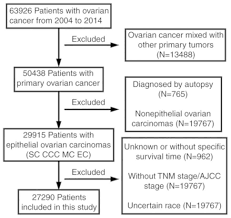 Ovarian cancer is a cancer that forms in or on an ovary. Prognosis Of Ovarian Clear Cell Cancer Compared With Other Epithelial Cancer Types A Population Based Analysis