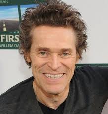 Pin On The Fault In Our Stars