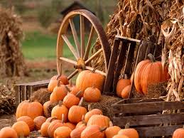 Seed Time Harvest And New Beginnings Fall Pumpkins Fall Harvest Fall Wallpaper