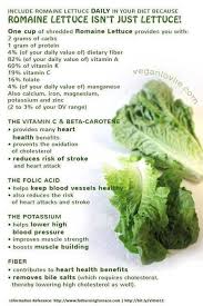Pin By Robert K On Clean Eating Lettuce Benefits Herbal Medicine Recipes Health