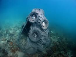 We did not find results for: Artificial Reefs What Works And What Doesn T
