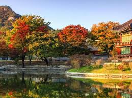These are our tops picks of what to do in the country. Incheon Seoul South Korea