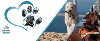 Maybe you would like to learn more about one of these? Ecole De Chiens Guides Alienor Accueil Facebook