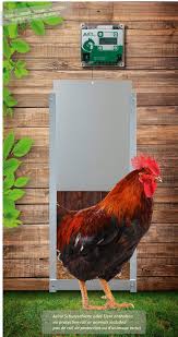 Set Vse 1 Automatische Huhnerklappe Vse Batteriebetrieben Integrierte Zeitschaltuhr Manuelle Bedienung Moglich Huhnerkla Huhnerklappe Huhner Zeitschaltuhr