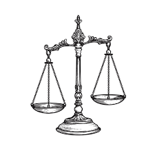 Image result for Justicia engleriana