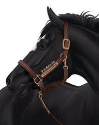 Jullelin Professional General Artist Deviantart Horse Art Horse Artwork Horse Drawings