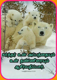 Pin On Bible Verses In Tamil