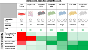 Check spelling or type a new query. Current Methods In Translational Cancer Research Springerlink