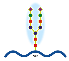 Check spelling or type a new query. Glycoprotein Wikipedia