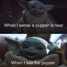 1 394 Likes 18 Comments Baby Yoda Babyyodamemes On Instagram Love Pupper S I Do Yoda Funny Funny Star Wars Memes Yoda Meme
