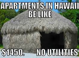 25 staycation memes ranked in order of popularity and relevancy. Hilarious Hawai I Memes That Are Too Real For Locals Honolulu Magazine