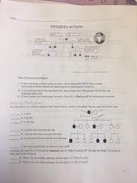 Genetics pedigree worksheet answer key | semesprit pedigree charts display info in a hierarchy and are frequently used. Solved Name Pedigrees Activity Hints For Analyzing Pedigr Chegg Com