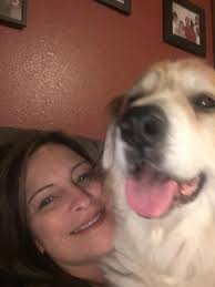 A dog's love and intuition can be lifesaving