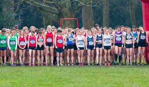 Lovely original condition with it's running. Should Male And Female Cross Country Races Be The Same Distance Fast Running