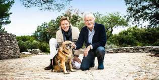 Colonel blotto games with favoritism while a single terrorist may suffice for a successful attack. Ma Chienne De Vie De Dave Et Patrick Loiseau La Vie De Chance Une Chienne Rescapee Metro