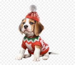 Tatty teddy christmas dog christmas puppy christmas paintings christmas animals vintage christmas christmas images christmas illustration christmas drawing. Dogs Dog Puppies Wallpapers Drawing Christmas Dog Png Free Transparent Png Images Pngaaa Com
