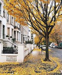 Who Has Seen The Wind Neither I Nor You St Charles Square London Places London Instagram London Bridges Falling Down