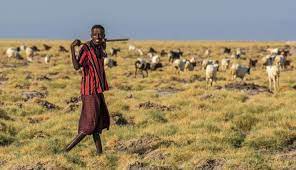 Djibouti is a country in the horn of africa, located on the west coast of the southern outlet of the red sea. Djibouti Ranked 119th Legatum Prosperity Index 2020