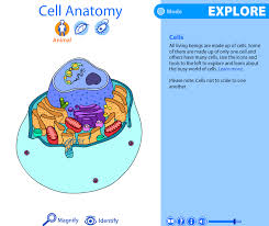 Check spelling or type a new query. Online Simulation Ict Protfolio