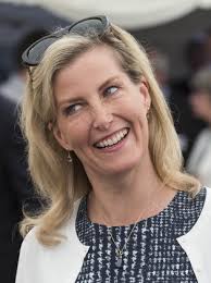 Sophie Countess Wessex Nigel Atkinson Lord-lieutenant Editorial Stock Photo 