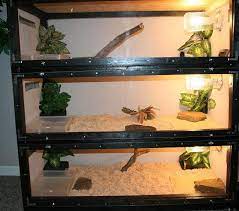 Pin By Guinevere Mee On Reptile Enclosures Reptile Enclosure Reptile Cage Snake Enclosure