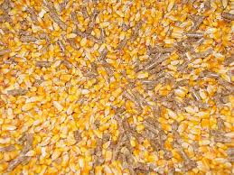 Should I Use Wood Pellets Or Corn In My Flex Fuel Stove