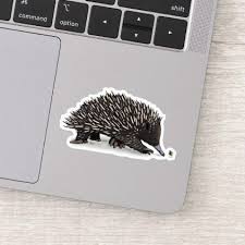 Funny Cute Echidna With Bee Childrens Illustration Sticker Childrens Illustrations Funny Stickers Cartoon Styles