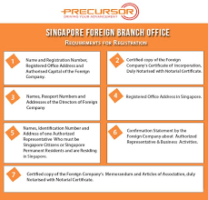 When Incorporating Company In Singapore As A Foreign Individual Entity One Of The Company Registration Options In Singapore T Singapore Registration 3 Company