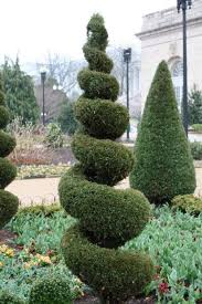 Maybe you would like to learn more about one of these? Home Topiary Topiary Plants Topiary Trees