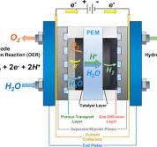 Proton Exchange Membrane (PEM) Water Electrolysis: Cell ...