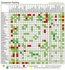 Companion Planting Made Easy Did You Know That If You Plant