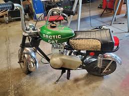 Image result for Arctic Silver 2001 Mini