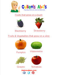 Where Fruits Vegetables Grow Art Pattern Cullen S Abc S Www Cullensabcs Com Fruit Vegetables Growing Vegetables