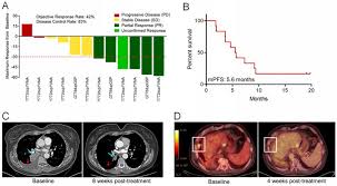 Pan Cancer Landscape And Analysis Of Erbb2 Mutations Identifies Poziotinib As A Clinically Active Inhibitor And Enhancer Of T Dm1 Activity Abstract Europe Pmc