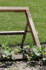 It offers supports for beautiful flowering or fruiting vines (such as rose or cucumber trellis), adds more growing area for small gardens, and helps to create attractive outdoor spaces such as tunnels, gates, privacy screens, and beautiful walls and fences. 21 Best Diy Trellis Ideas For The Gardener In You Crazy Laura