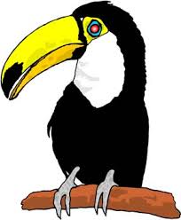 Amazon Rainforest Facts For Kids Explained