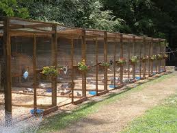 New Chicken Pens We Built Chickenrun Huhnerrassen Hinterhofhuhner Huhnerhof