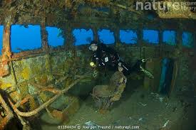 HMAS Swan Wreck