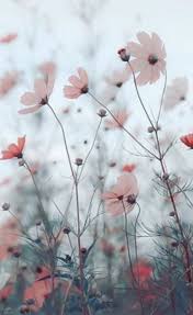 Cute Pink Nails Beautiful Aderitacristina Miniensaio Miniensaiodiadascriancas Flower Iphone Wallpaper Flower Phone Wallpaper Flower Aesthetic