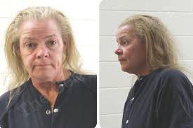 Christine Hogan — Houston County Jail Bookings